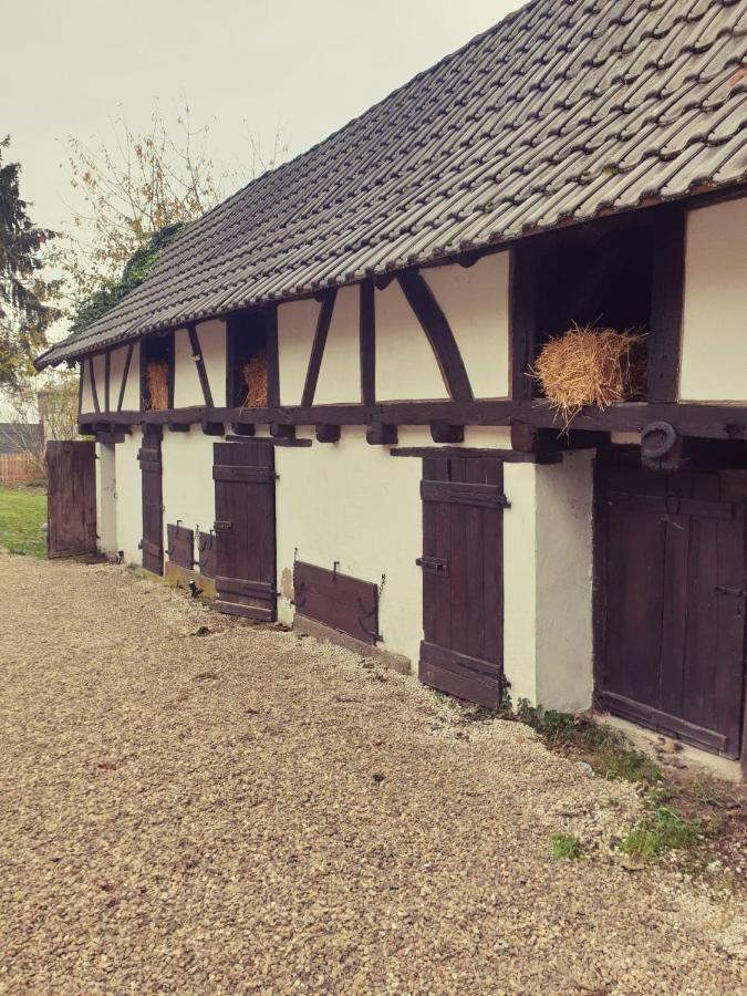 Gite Independant - Bretzel Et Bergamote Richtolsheim Exterior foto